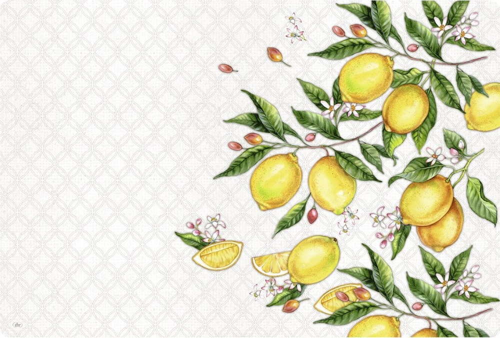 Plastové prostírání 43x29 cm Citrons - IHR IHR