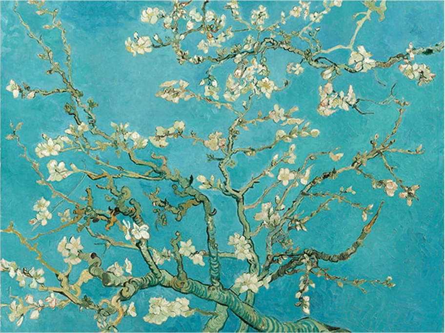 Reprodukce obrazu Vincenta van Gogha - Almond Blossom