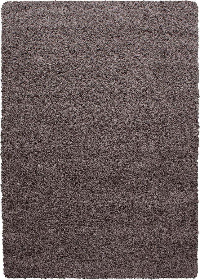 Hnědý koberec 160x230 cm Life – Ayyildiz Carpets Ayyildiz Carpets